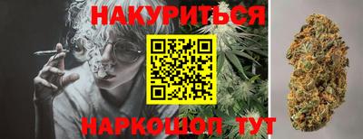 гидра Кинель