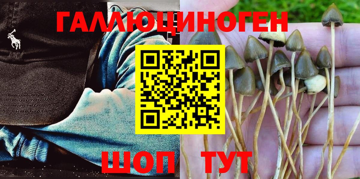 Псилоцибиновые грибы прущие грибы  Вход с VPN  Псилоцибиновые грибы Cubensis  Котельники 